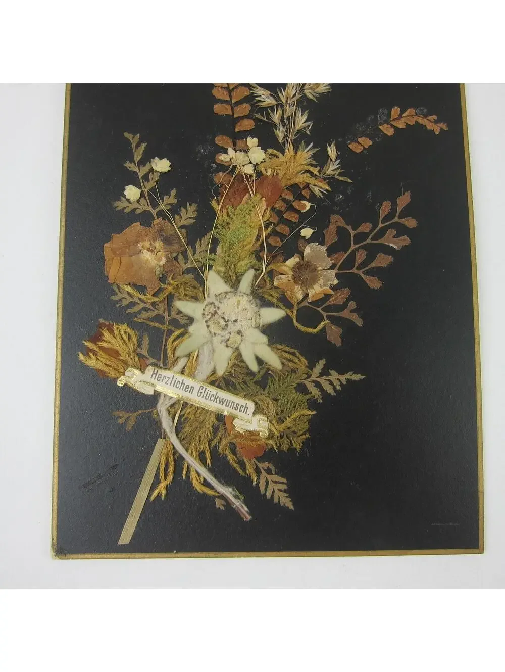 Victorian Greeting Card Pressed Flowers White Dove Bird Congrats German Antique